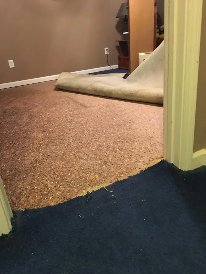Carpet pad removal revealing water damage during Drying & Dehumidification in Darby